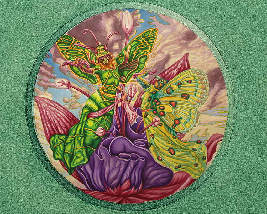 El concierto de las mariposas