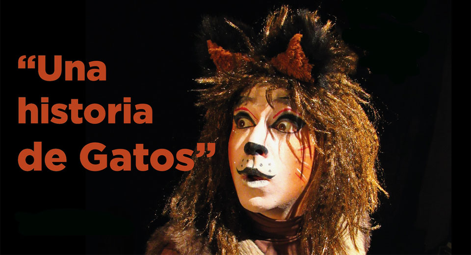 Una Historia de Gatos
